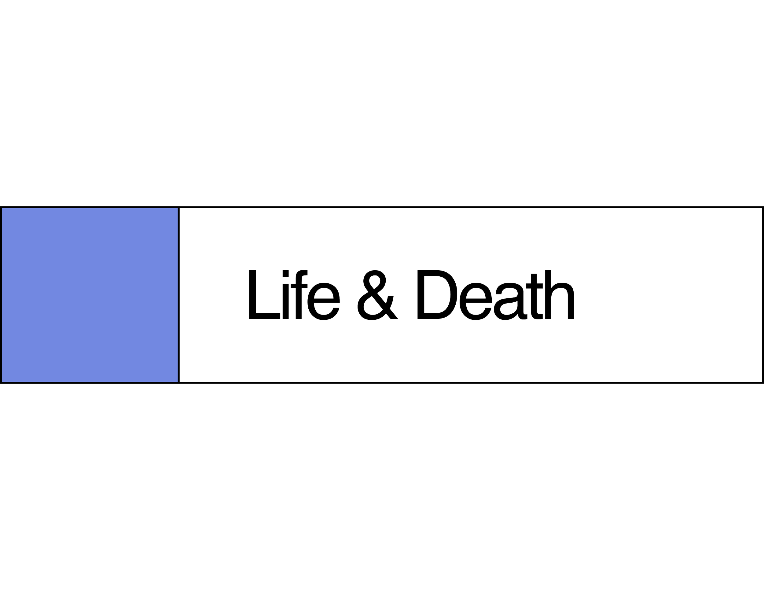 Black and white book cover with a blue rectangle on the left and the title 'Life & Death' written in large letters.