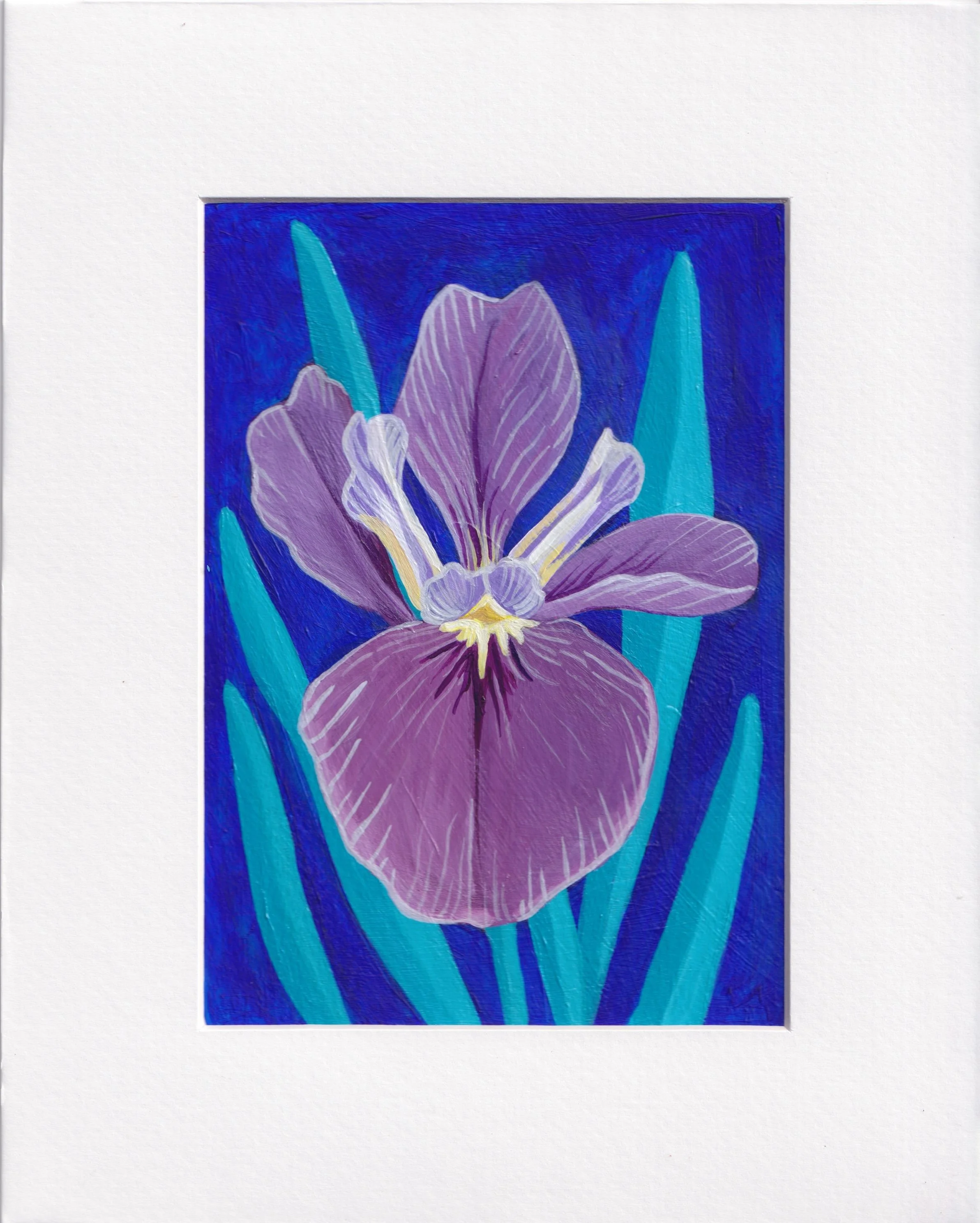 Iris1.jpeg