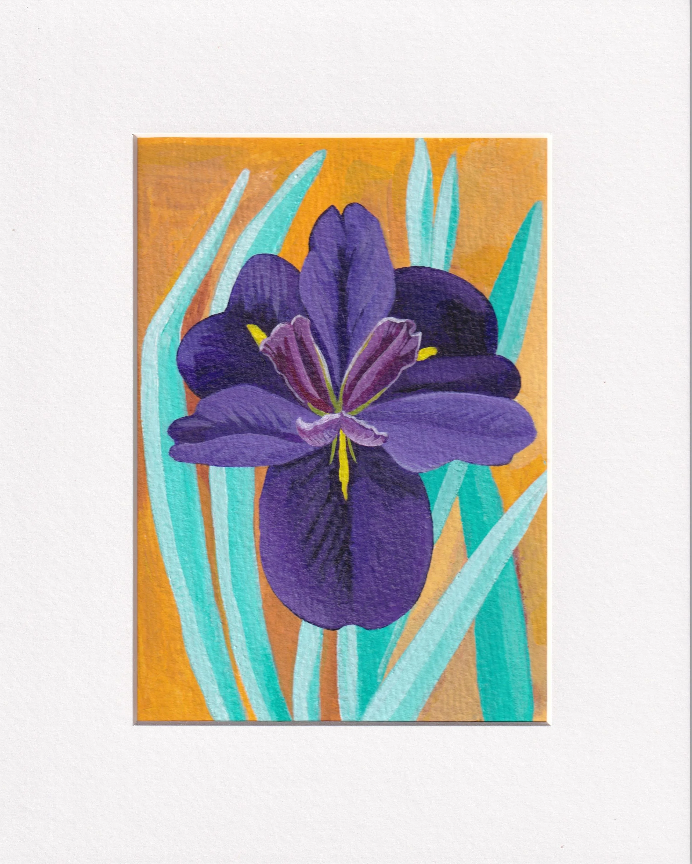 Iris2.jpeg