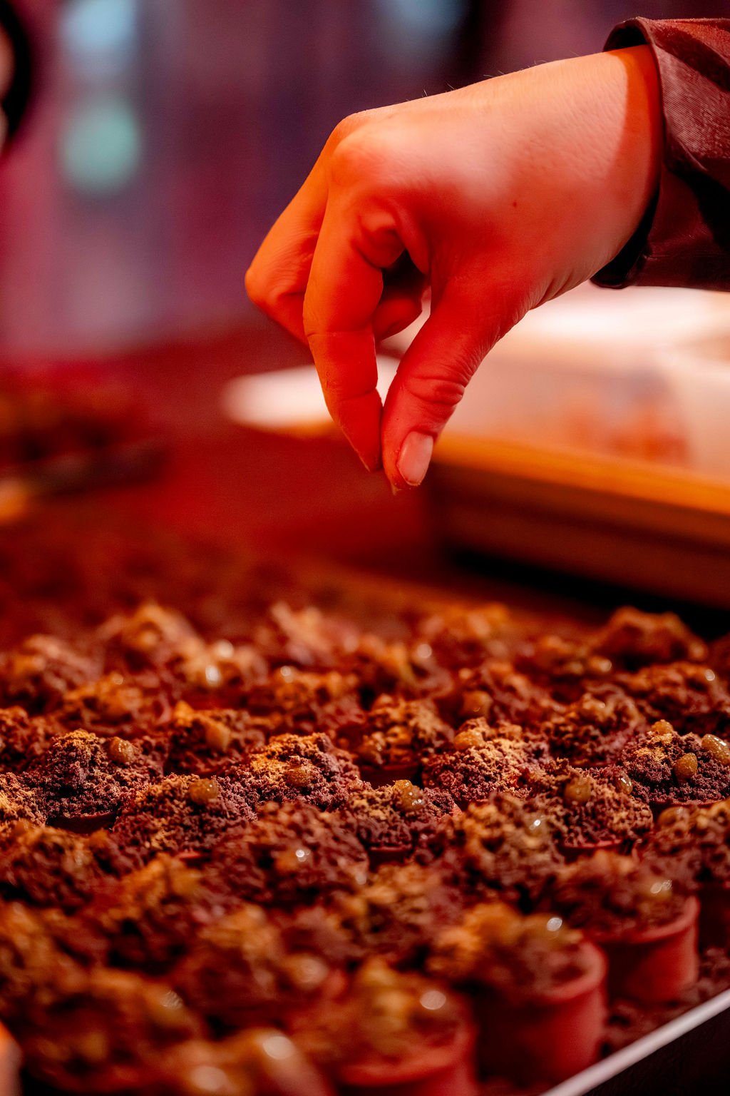 L'humus et les strates de sol, du mycellium, la roche-mère, socles du vivant