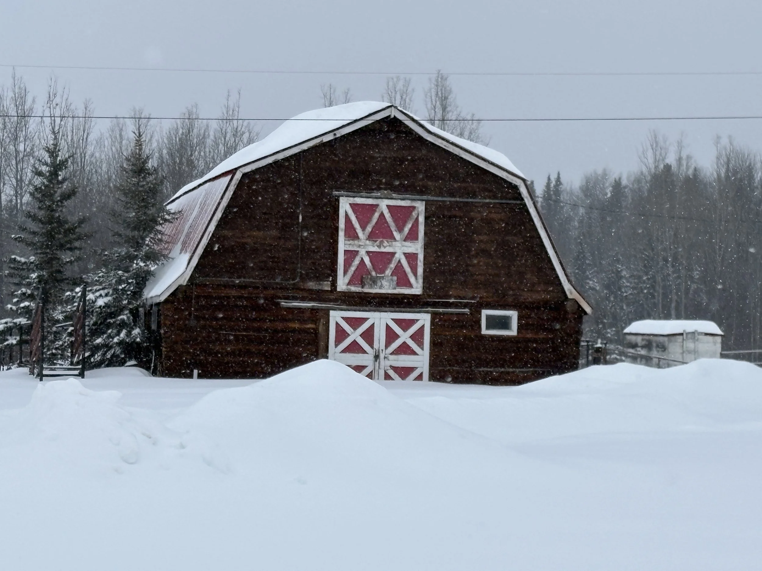 Barn - 2026.JPG