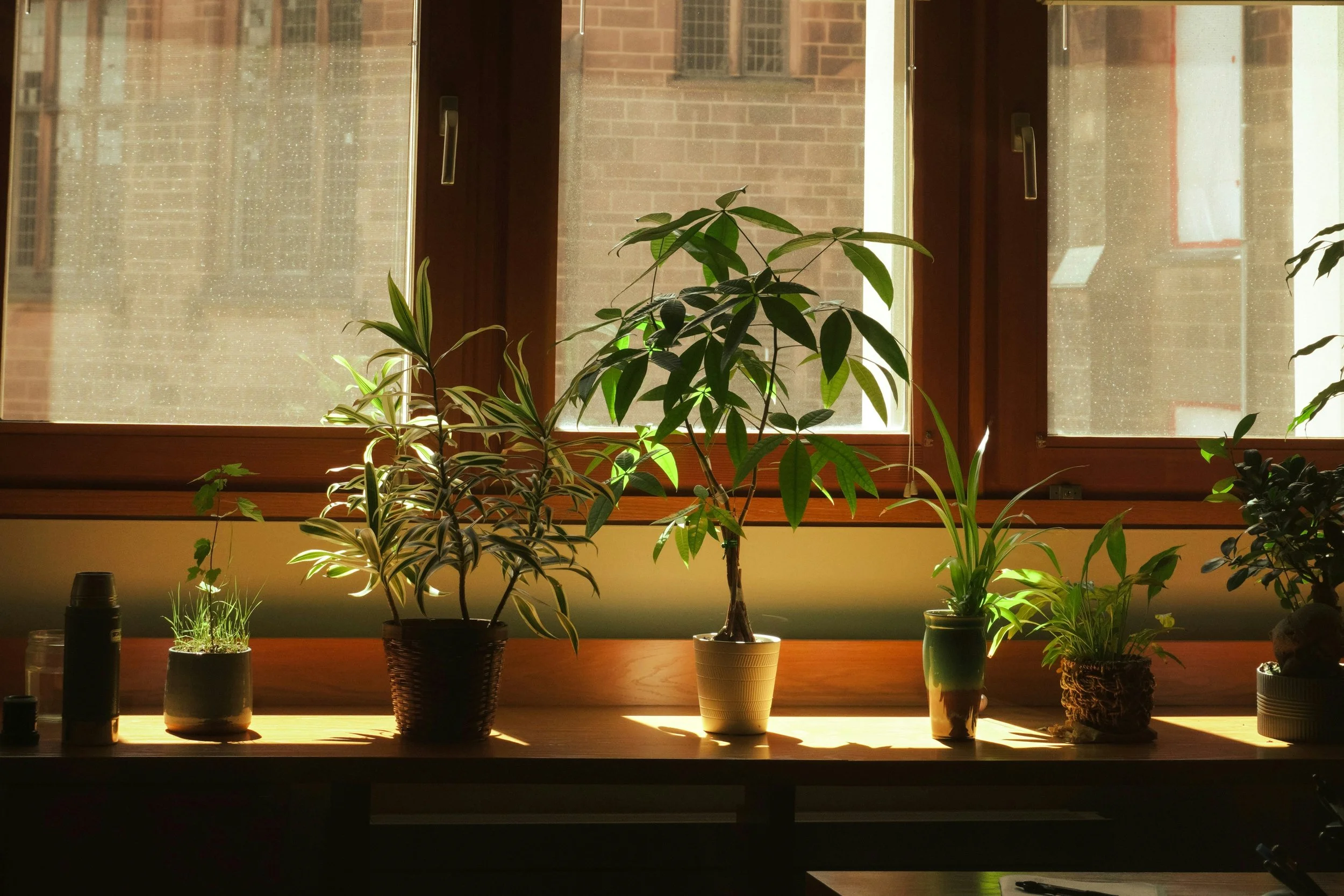 How ERP Improves Order Fulfillment for Plant Growers
