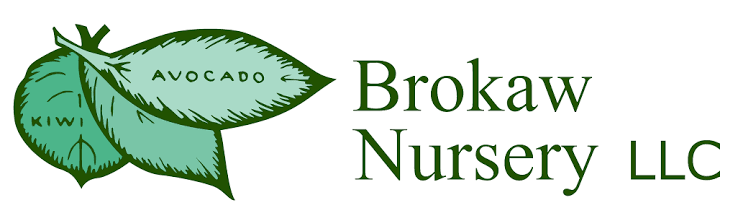 Browkaw nursery.png