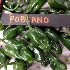 The Mexican Chile Poblano: A Comprehensive Guide to Mexico's Most Versatile Pepper
