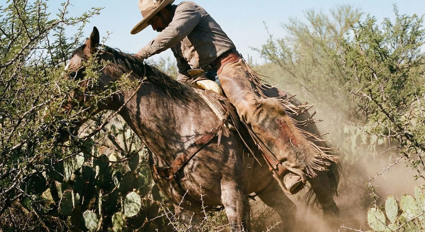 Cowboy on horse in the chaparral