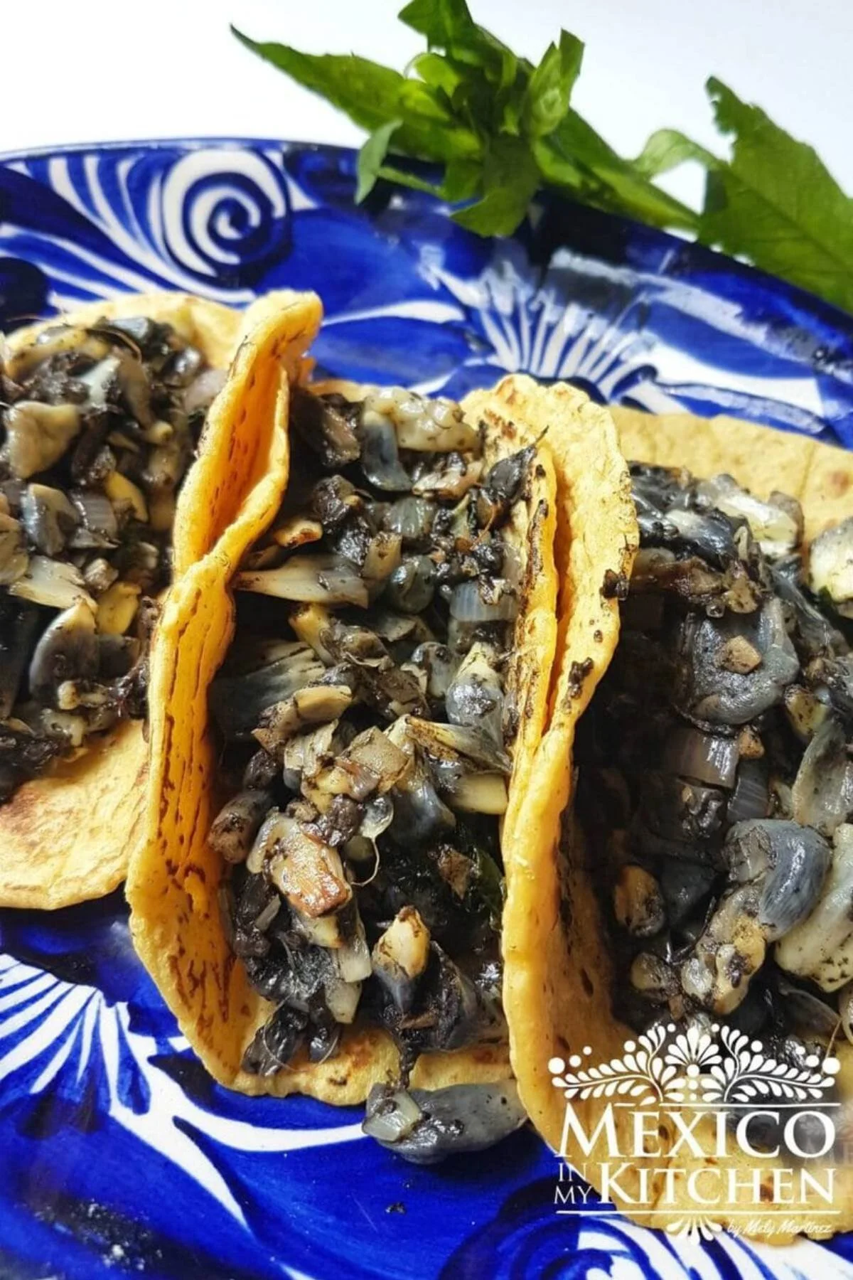 Huitlacoche-Tacos