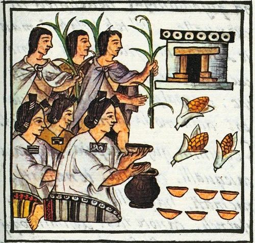 History of the Taco: From Ancient Mesoamerica to Global Street Food ...
