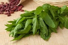 epazote