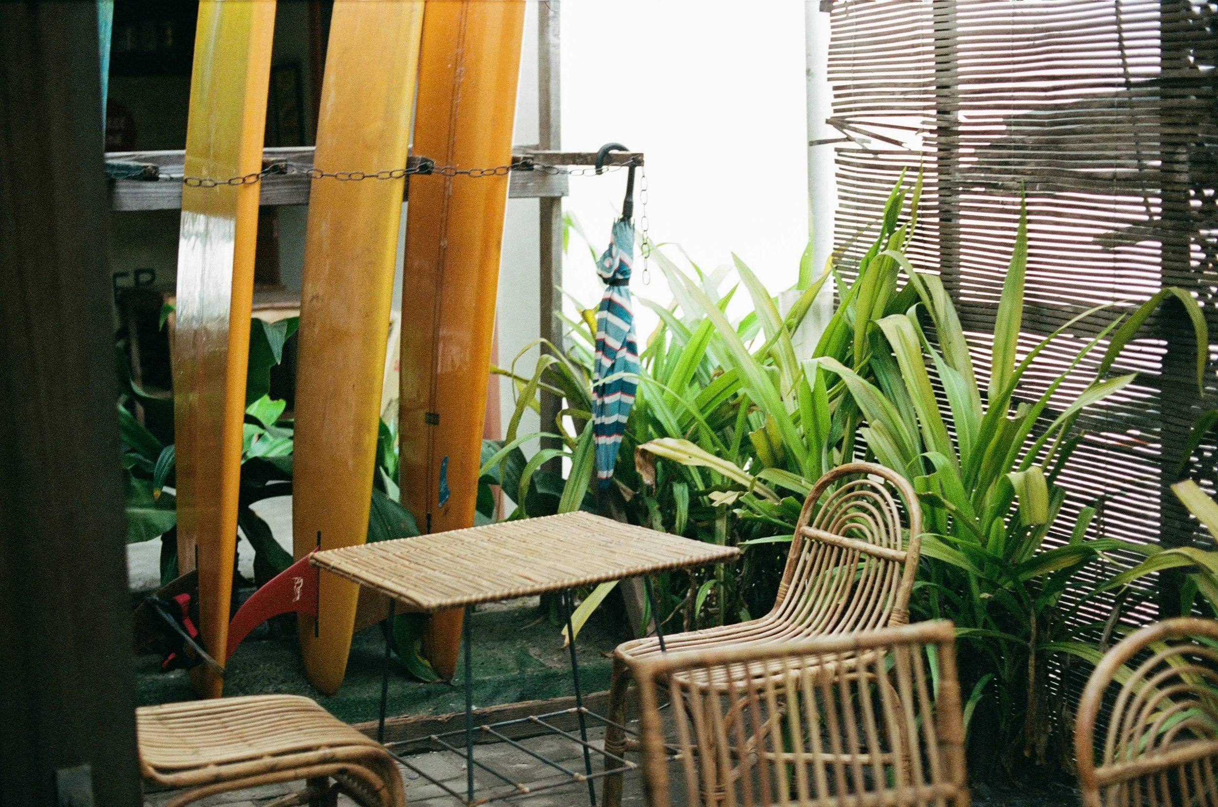 Film