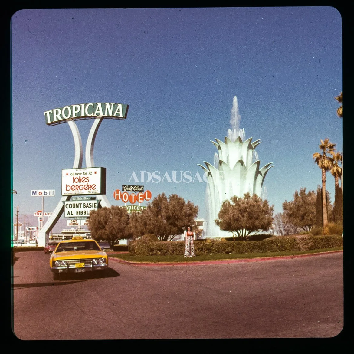 tropicana-01.jpg
