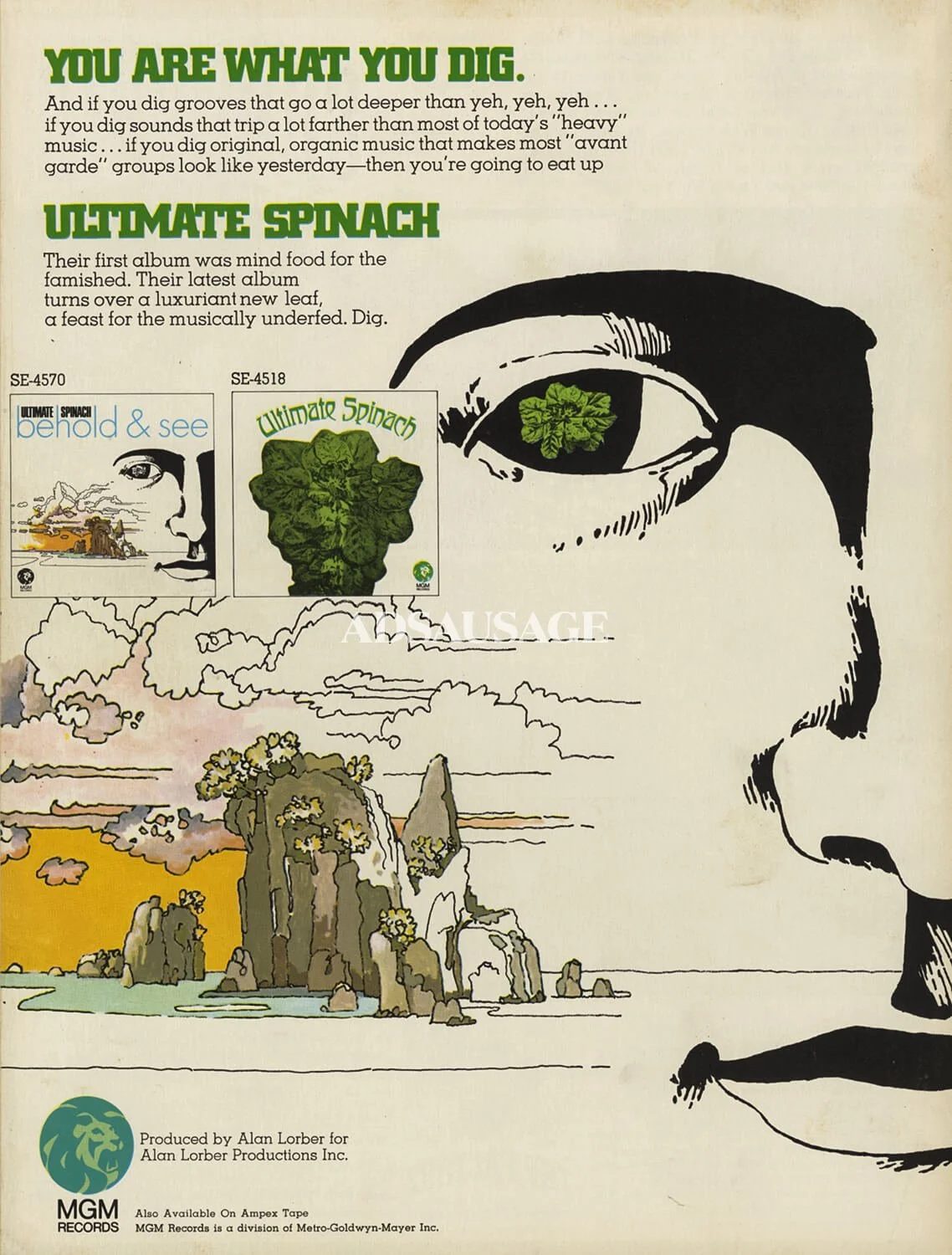 evergreen-ads-08.jpg