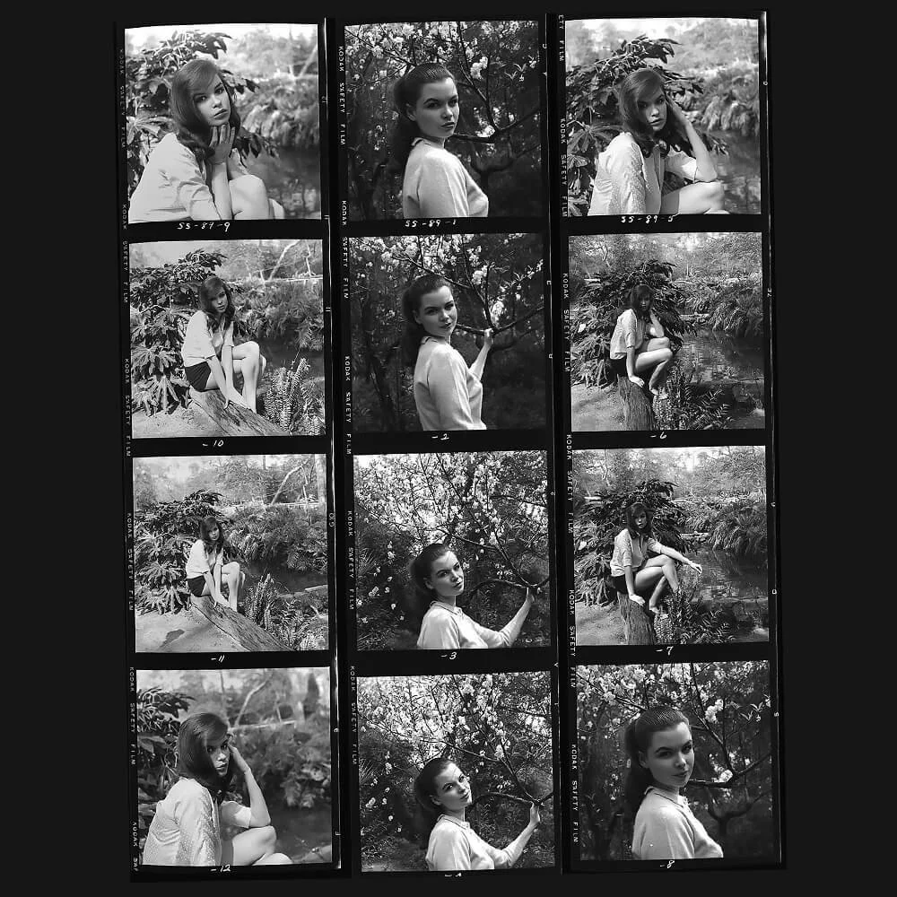 Vintage Los Angeles archive of postcards and their history.