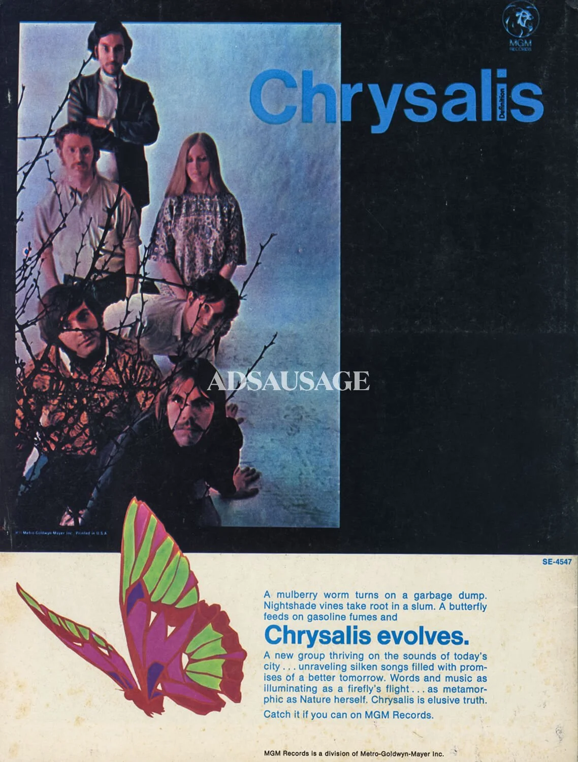 evergreen-ads-05.jpg
