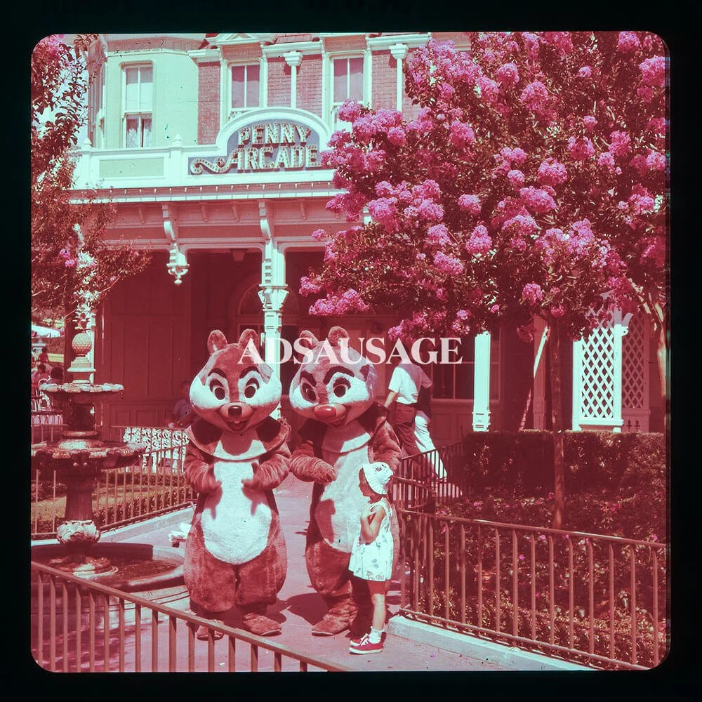 Vintage Disneyland - Main Street USA