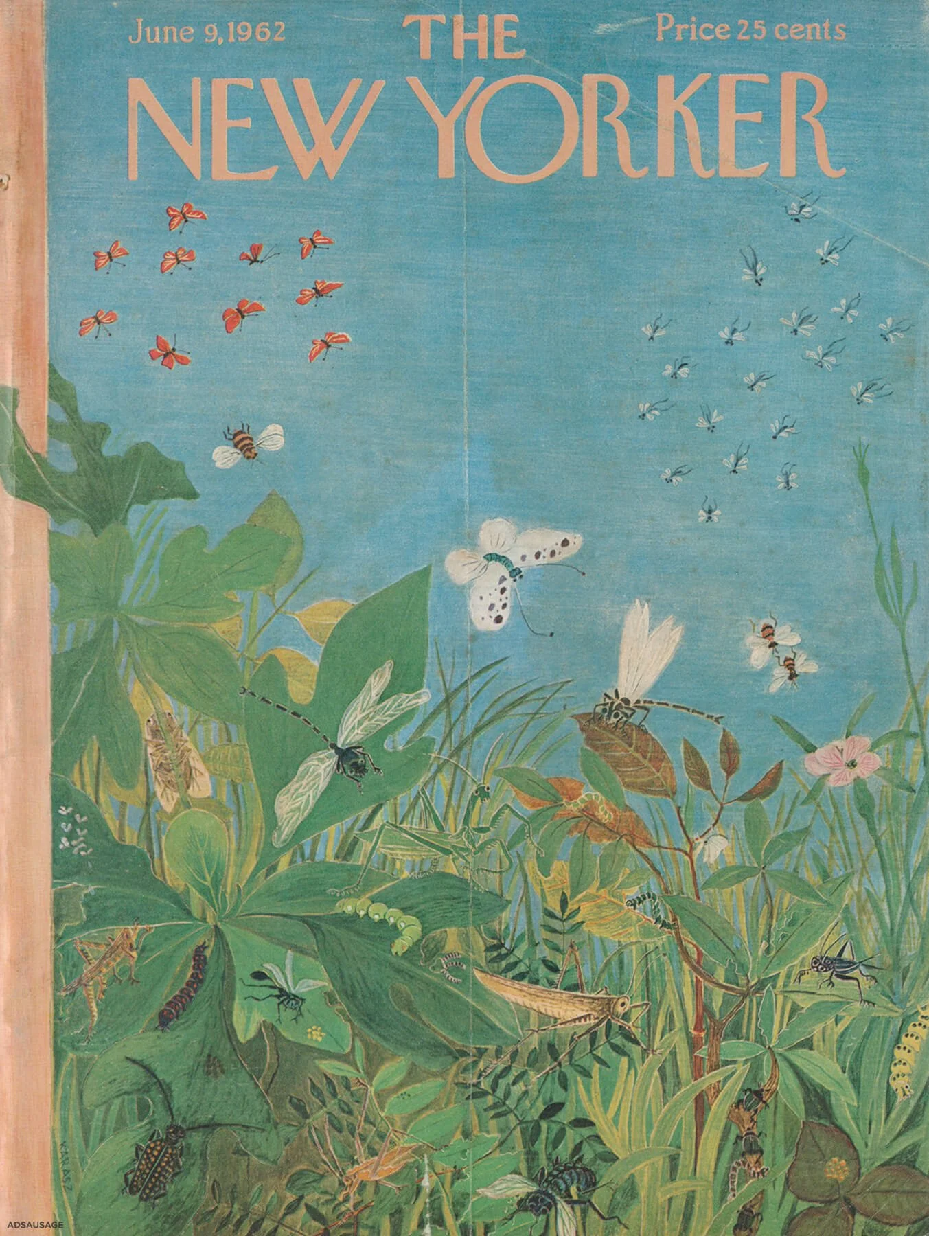 new-yorker-archive-409.jpg