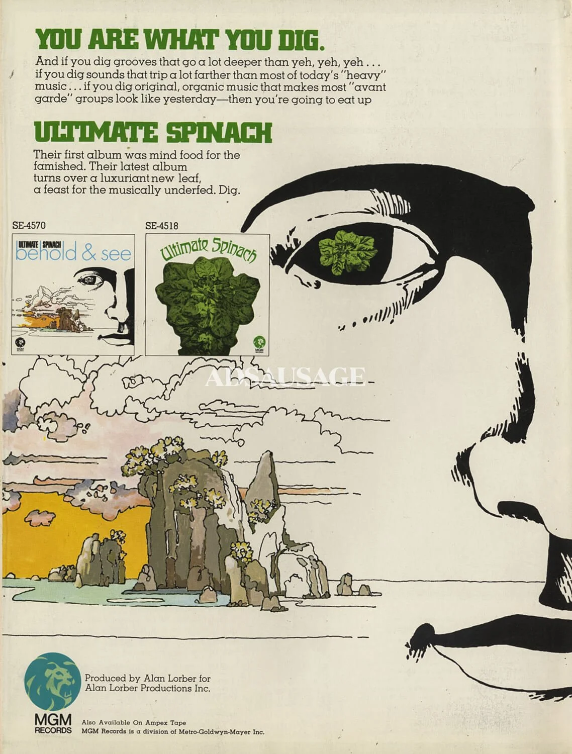 evergreen-ads-18.jpg