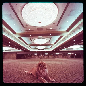 mgm-09.jpg