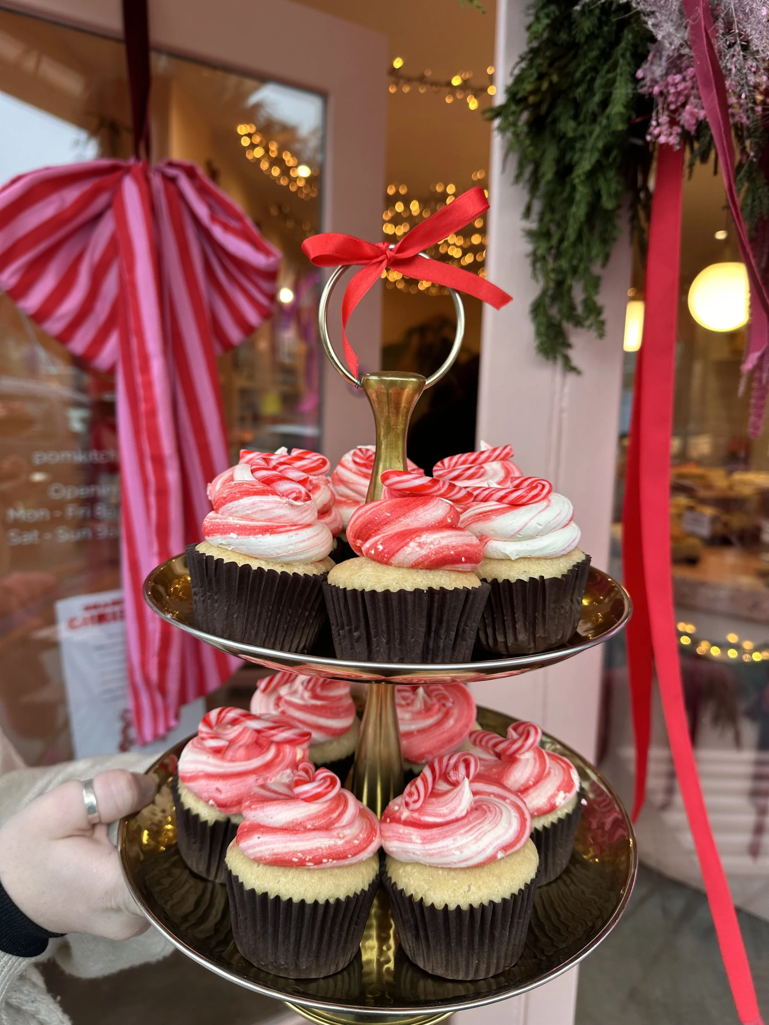 Festive Cupcake Decorating Evening