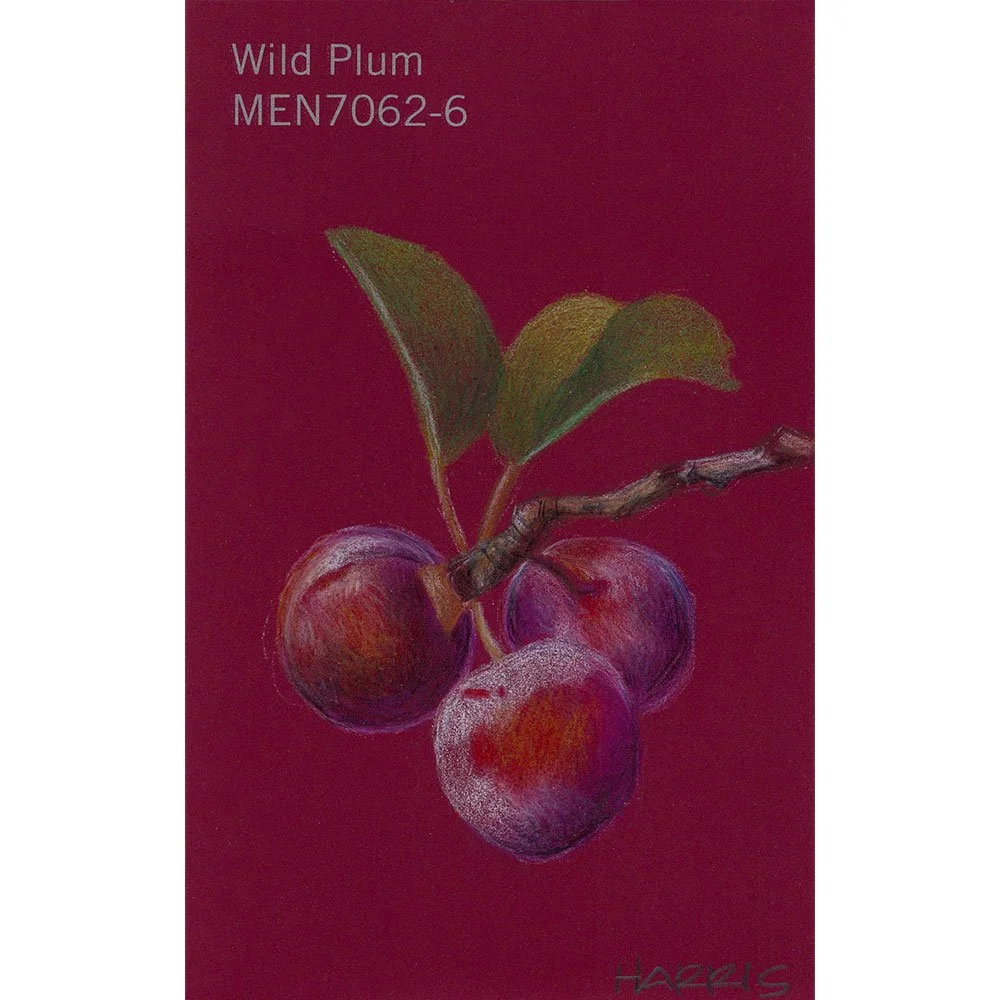 PHarris-wild-plum.jpg