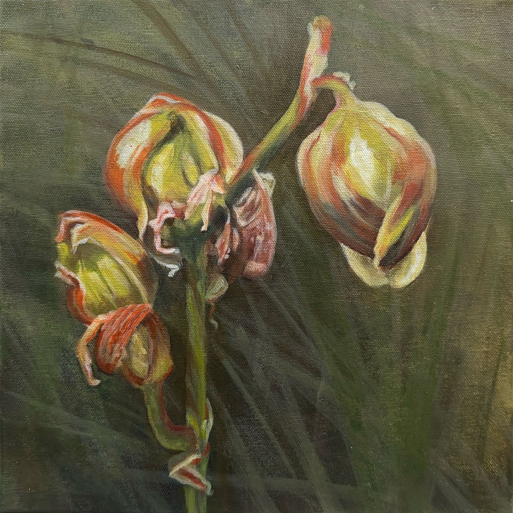 Indian Rock: Yuccas | Acrylic on Canvas