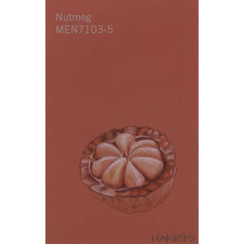 PHarris-nutmeg.jpg