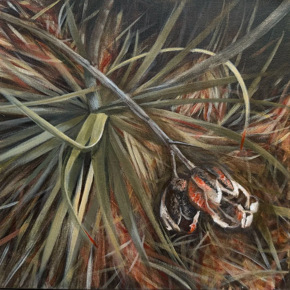 Indian Rock: Seed Pods | Acrylic on Canvas