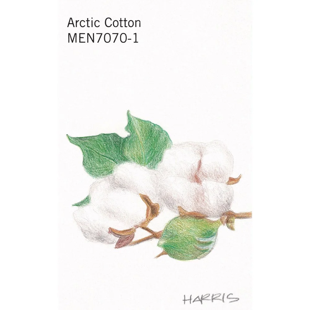 PHarris-arctic-cotton.jpg