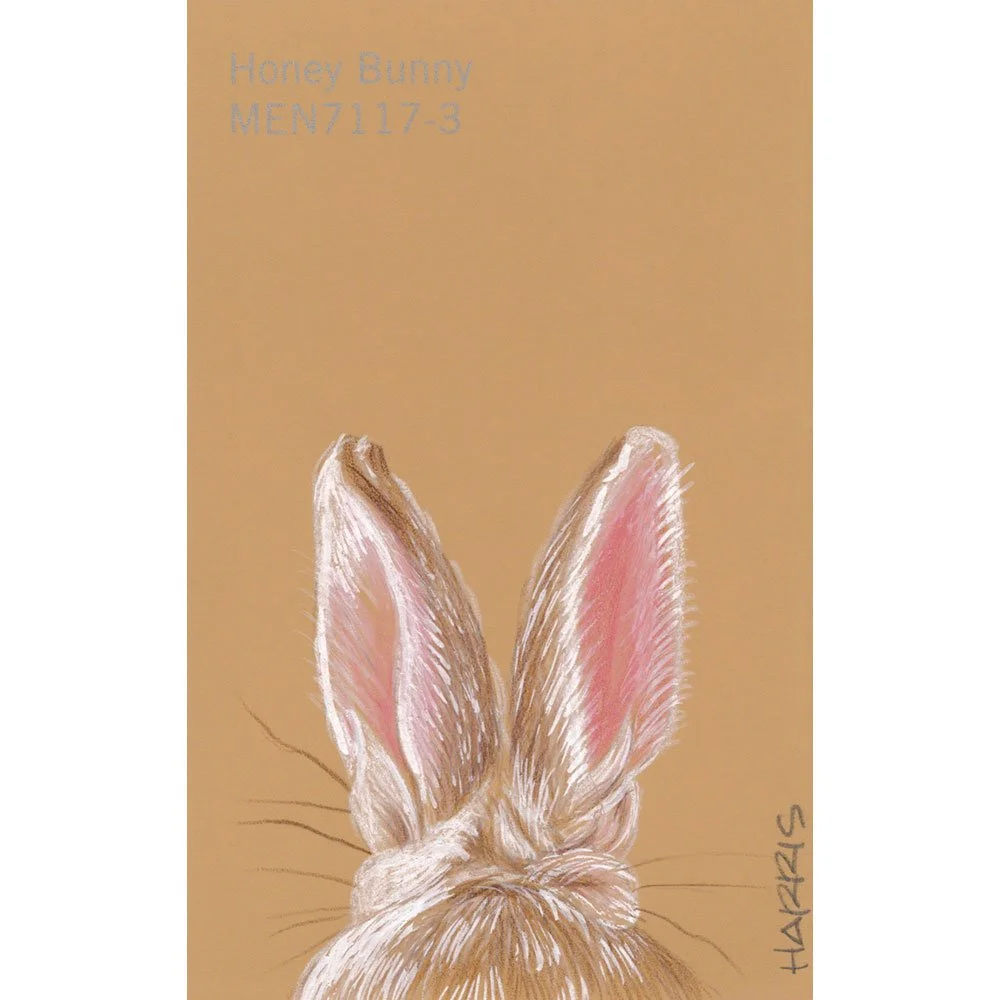 PHarris-honey-bunny.jpg
