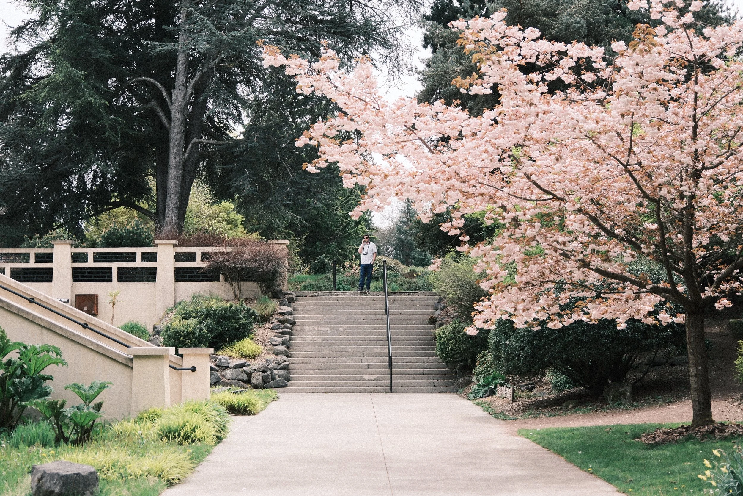 DSCF3290.JPG