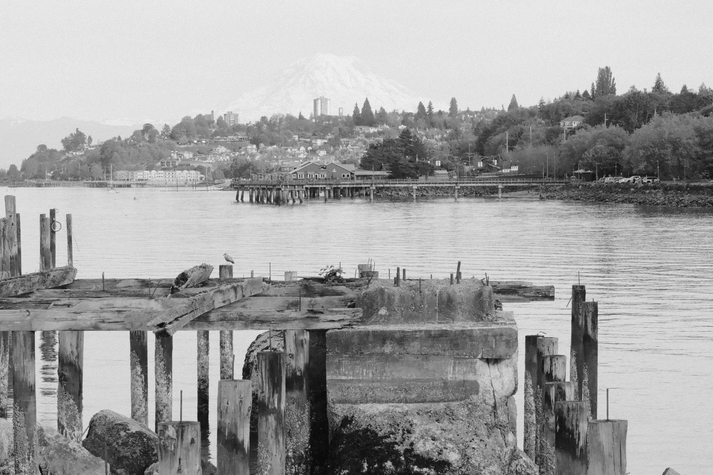 DSCF9772.JPG