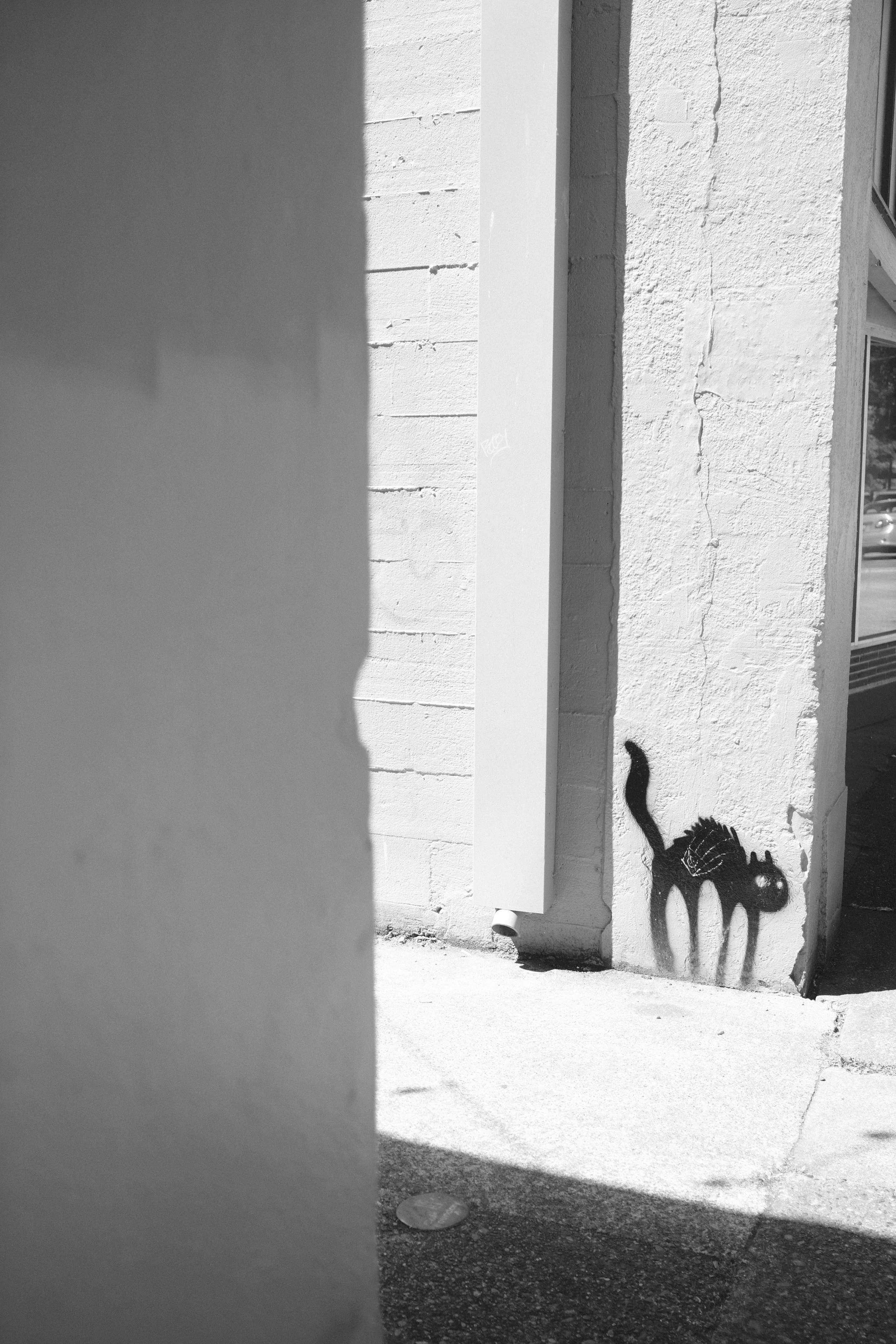 _DSF0730.JPG