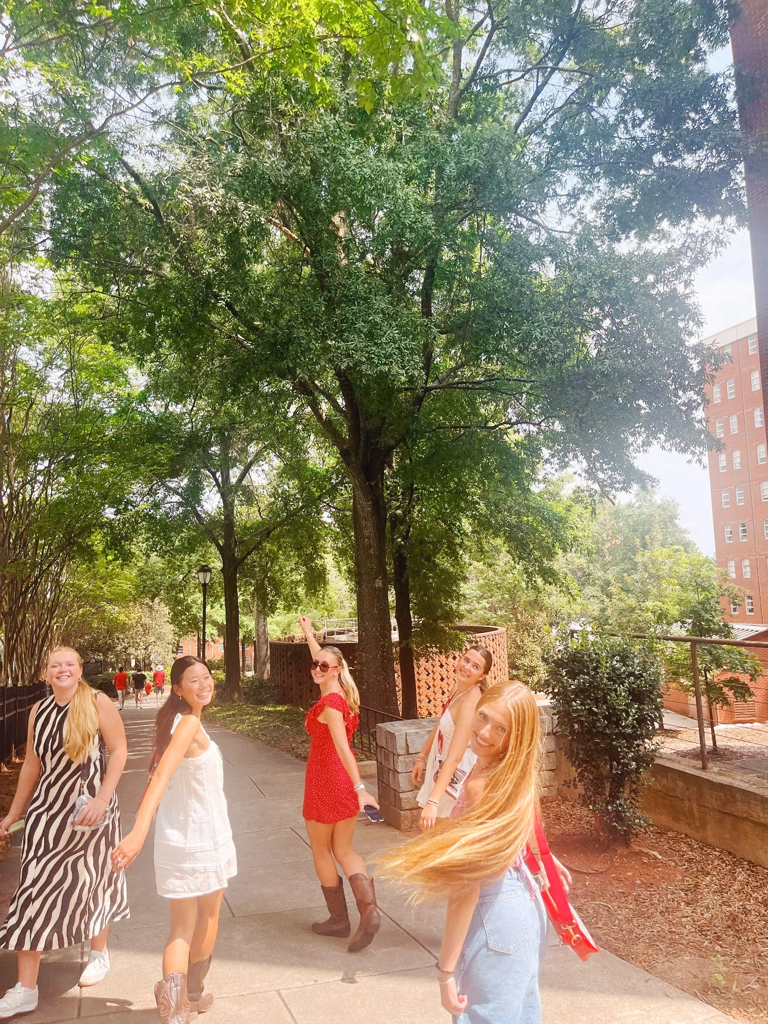 20250906_161757_7D944C_VSCO.JPG
