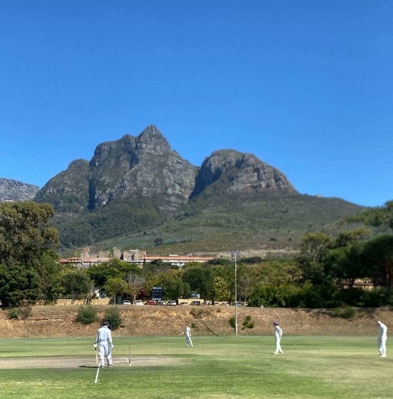 Best Time for a Cricket Tour in South Africa (And Why It Matters)