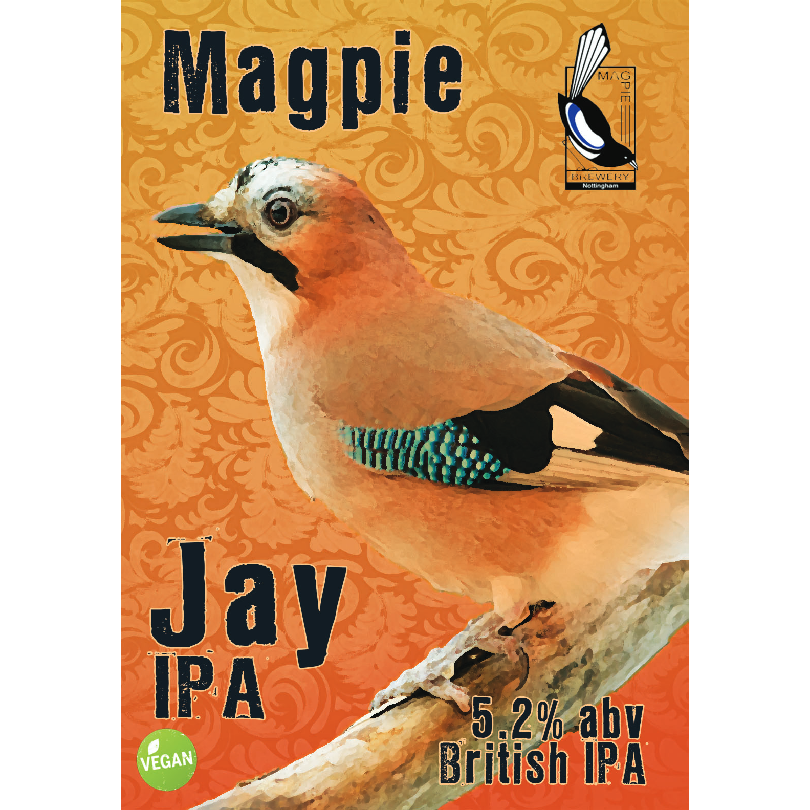 magpie-jay.png