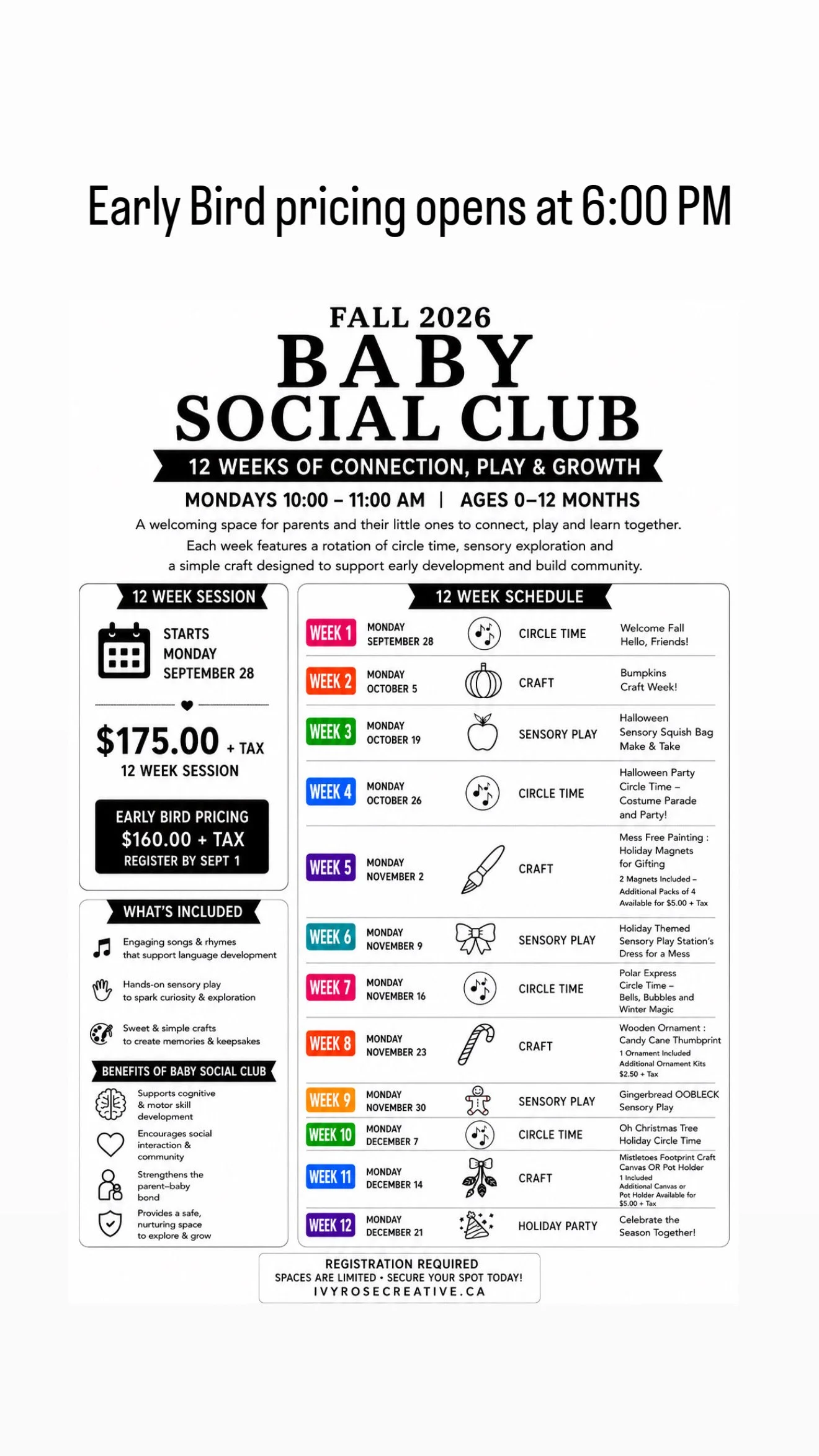12 WEEK BABY SOCIAL EARLY BIRD $160.00