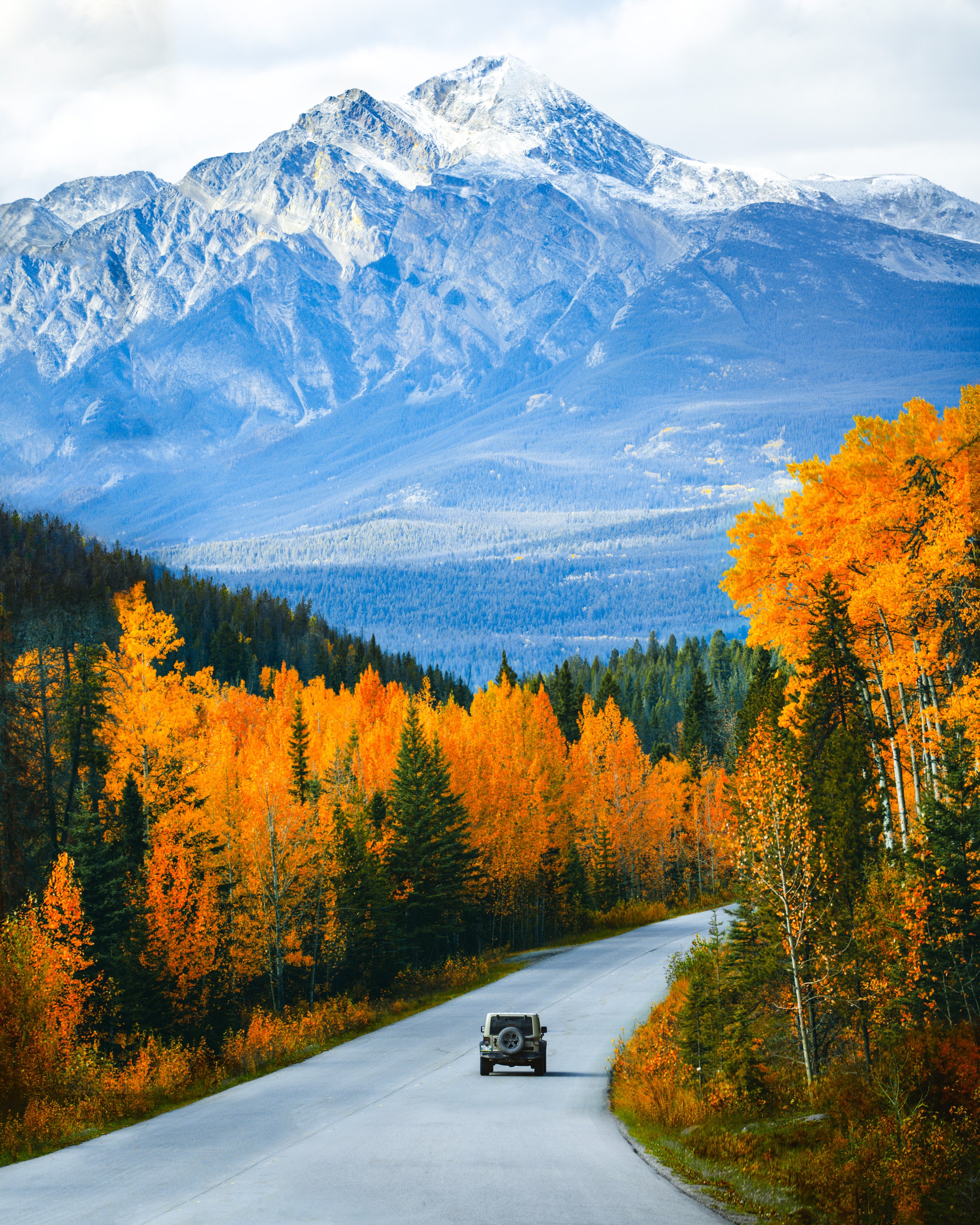Driving Autumn.jpeg