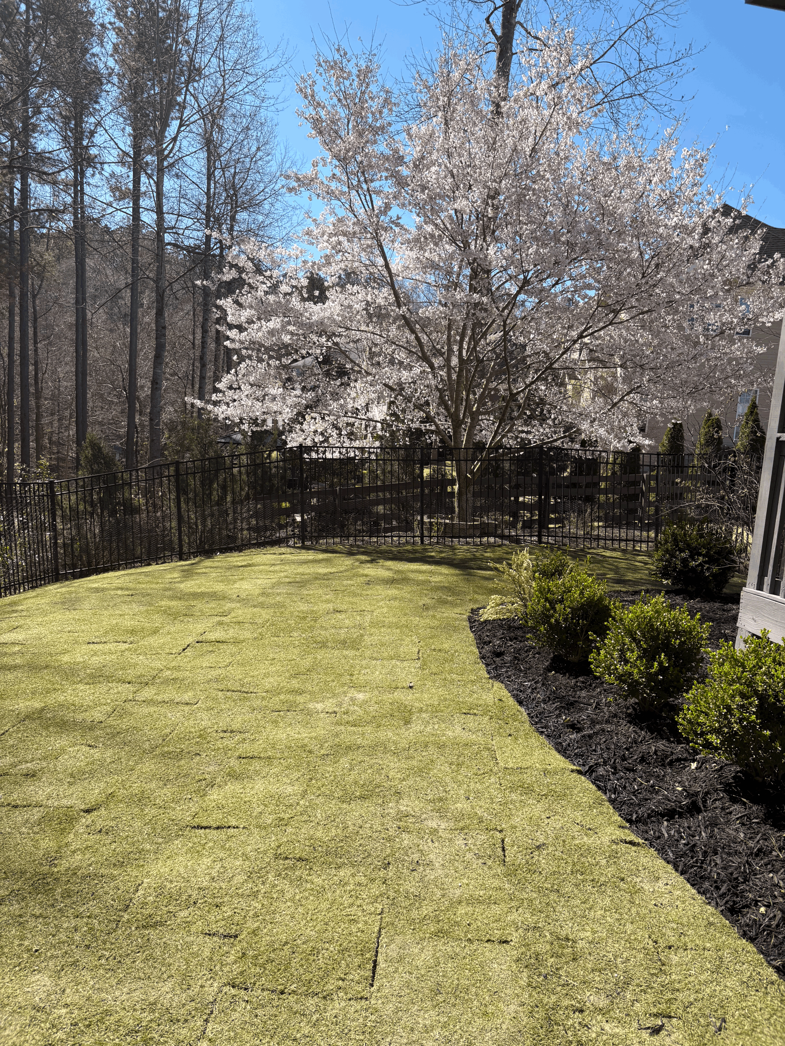 How Local Businesses in Canton, GA Can Get More Bookings This Summer