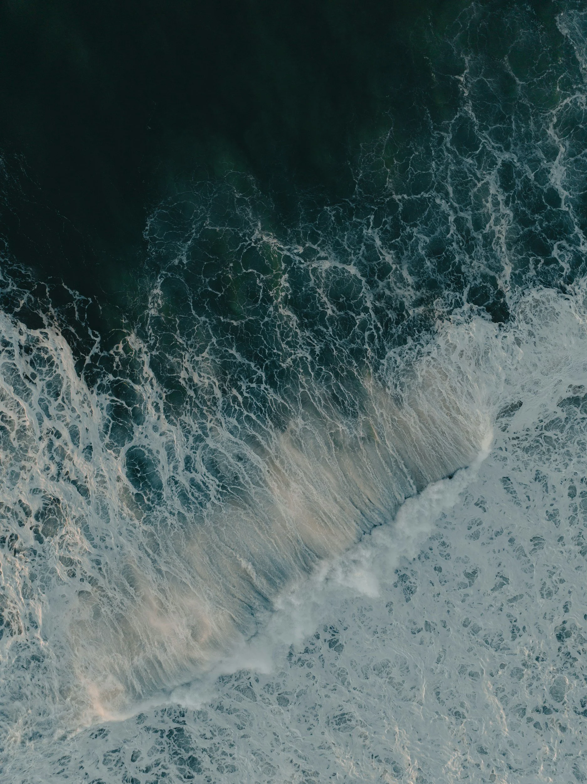 Can’t say enough good things.