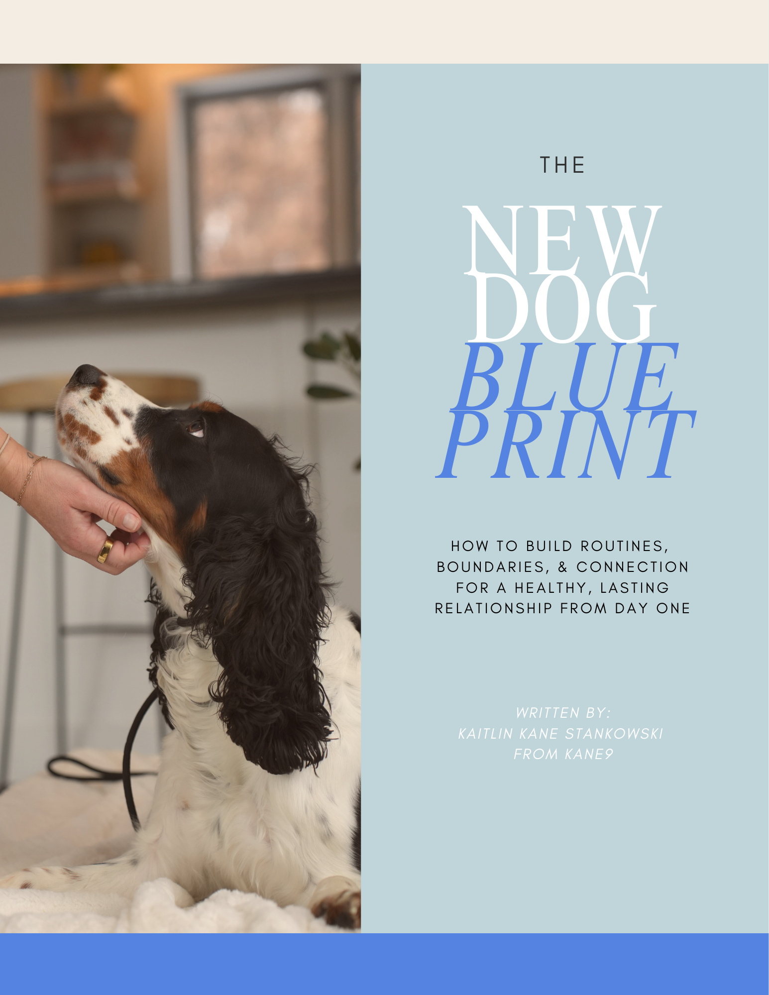 KANE9 - NEW DOG BLUEPRINT-4.png