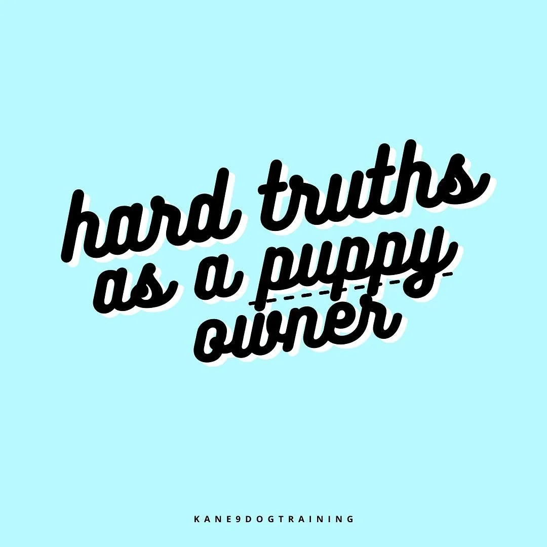 contact-us-kane9-dog-training-advocacy