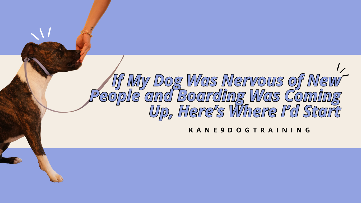 If My Dog Was Nervous of New People and Boarding Was Coming Up, Here’s Where I’d Start