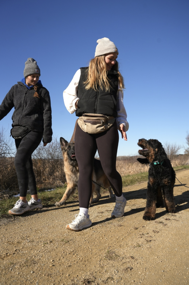 Board and train dog training program