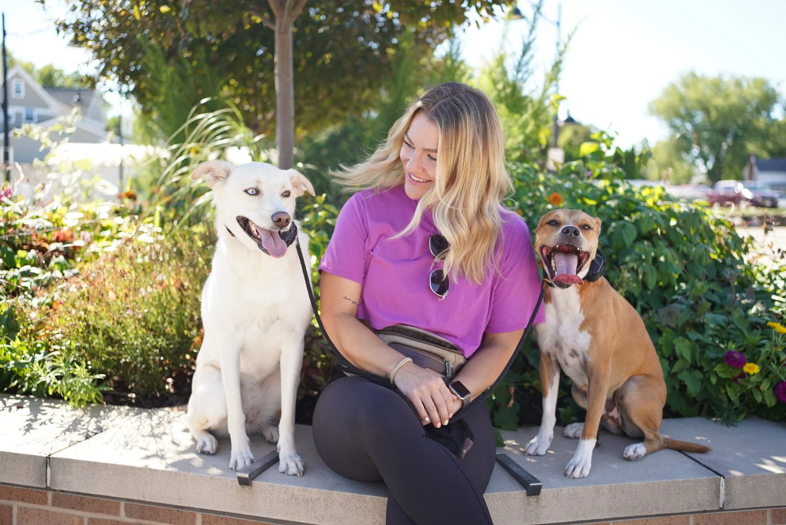 Dog Trainer Kait with dogs