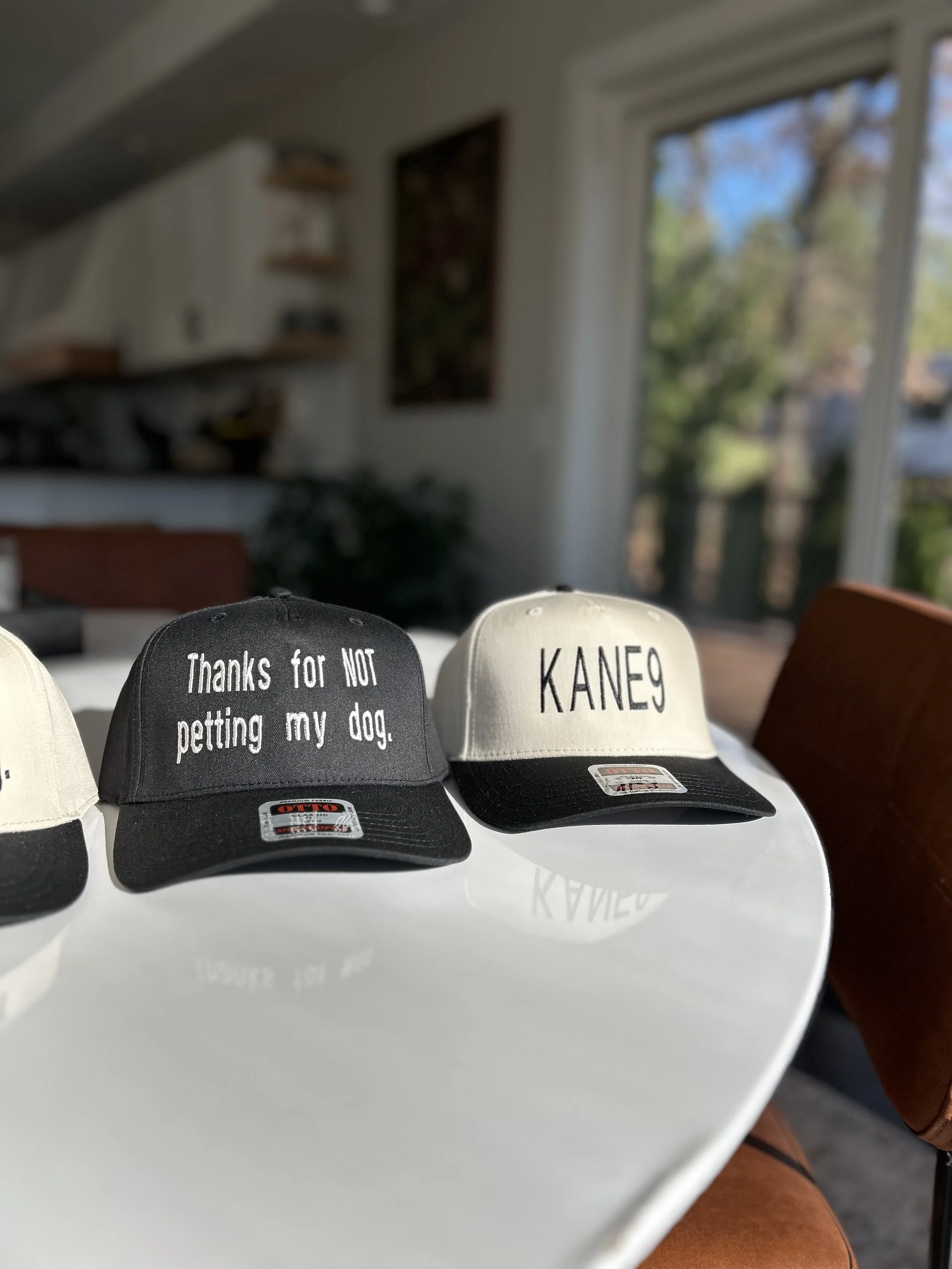 Black and white dog training hats
