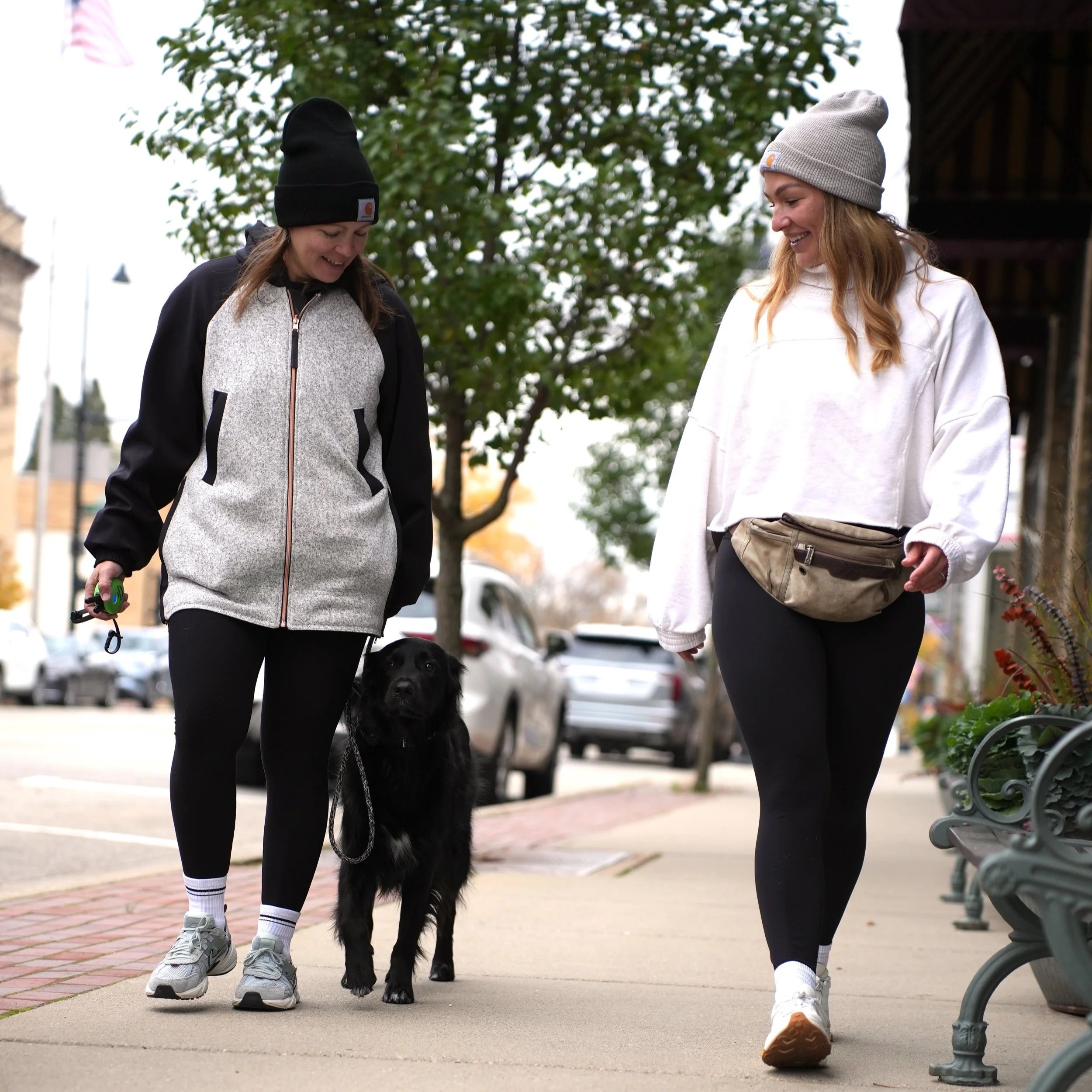 Dog training in Verona, Wisconsin