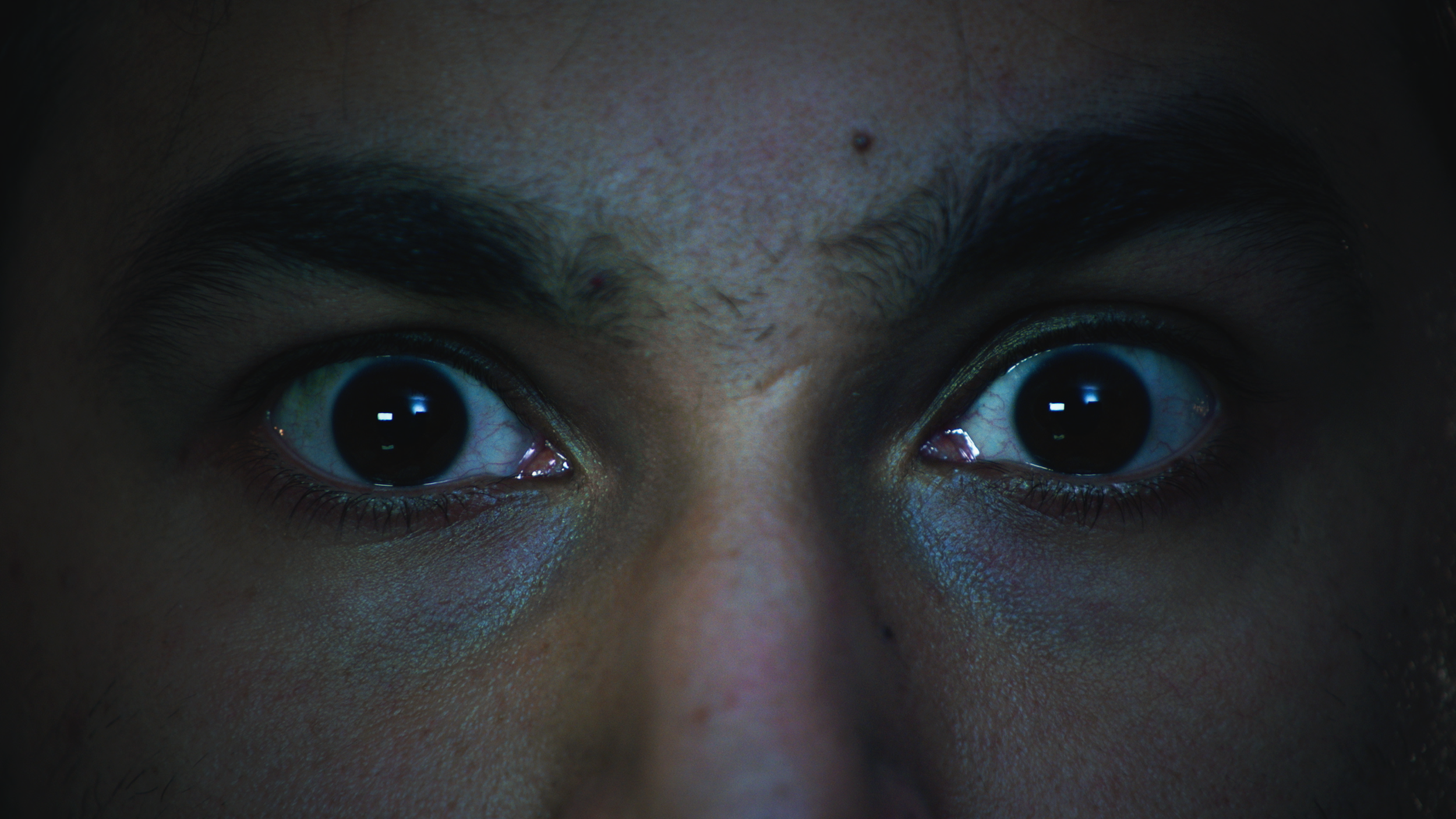 FeedMe_1.1.14.png