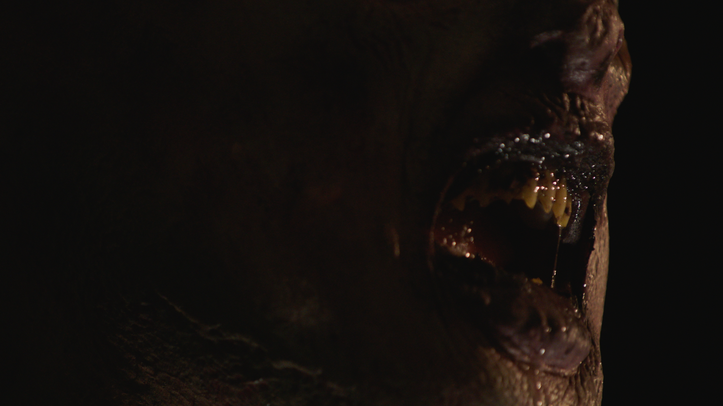 FeedMe_1.1.16.png