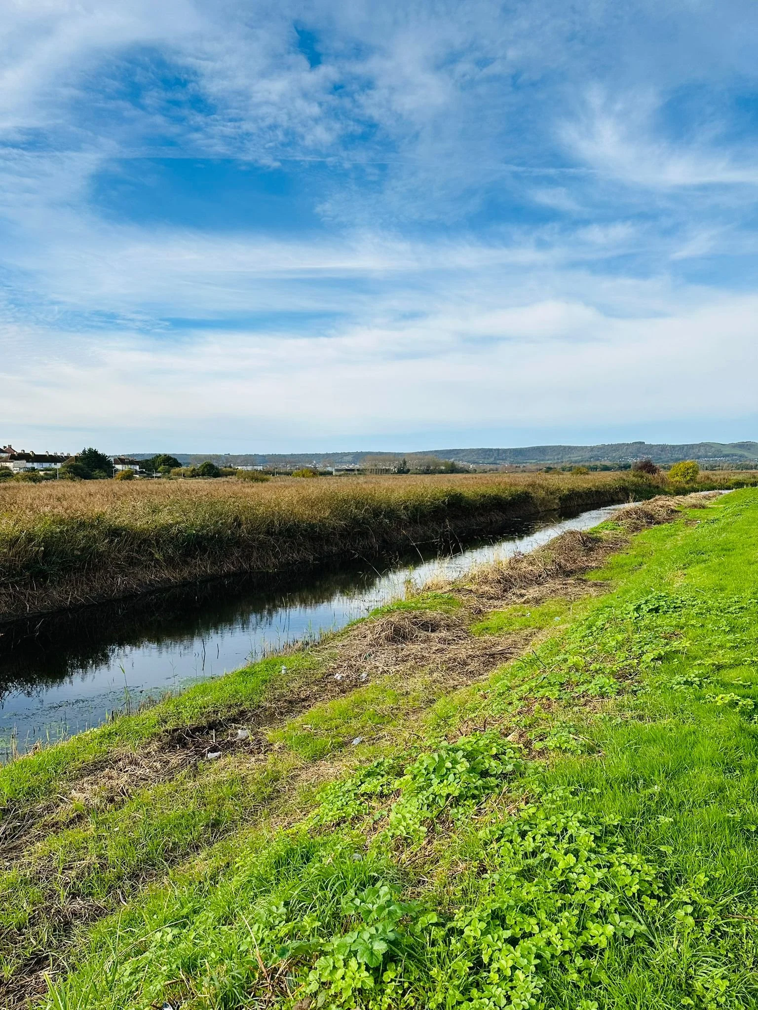 WhatsApp Image 2024-10-13 at 11.08.33.jpeg