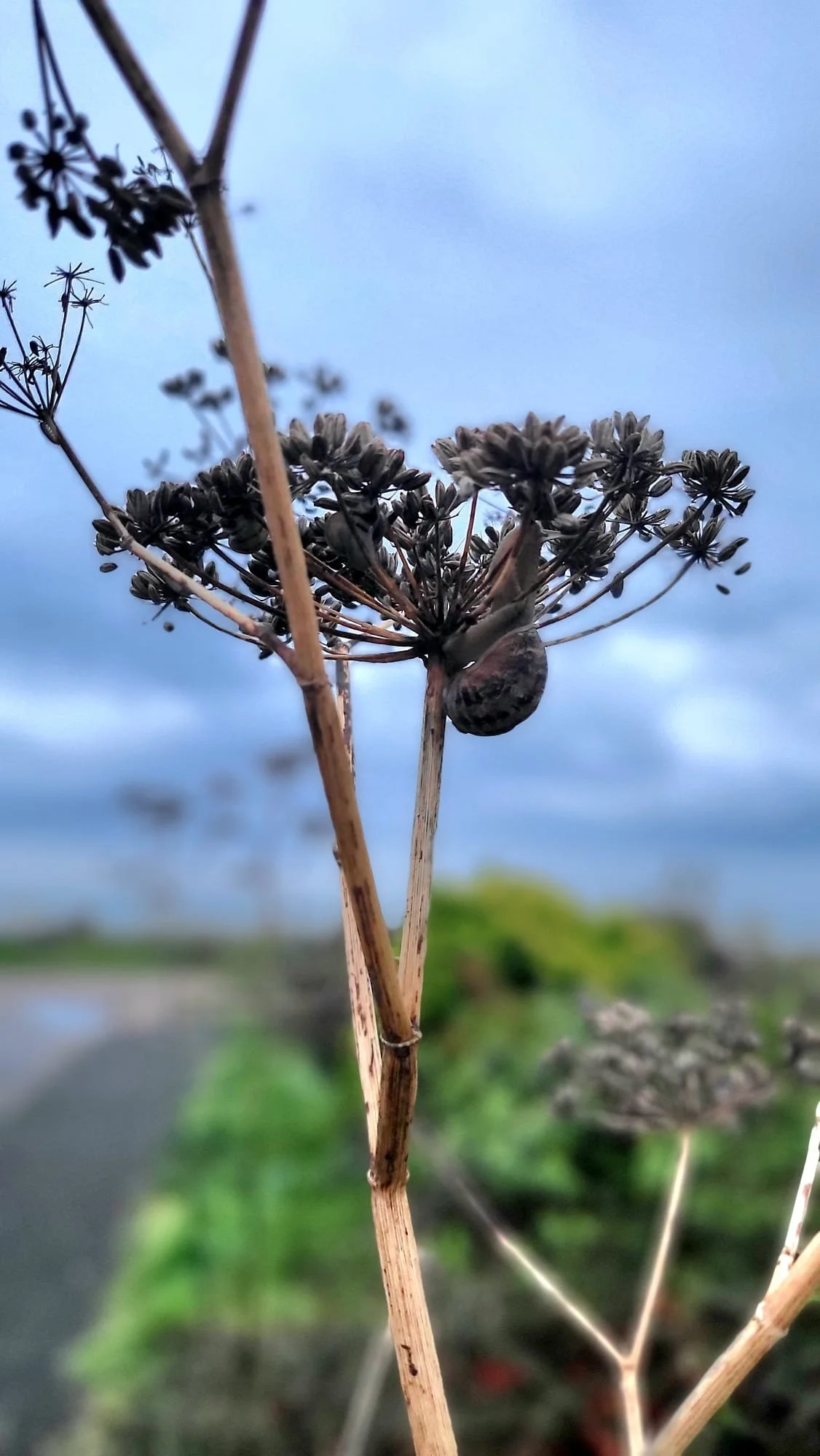 WhatsApp Image 2024-10-15 at 12.50.17 (2).jpeg