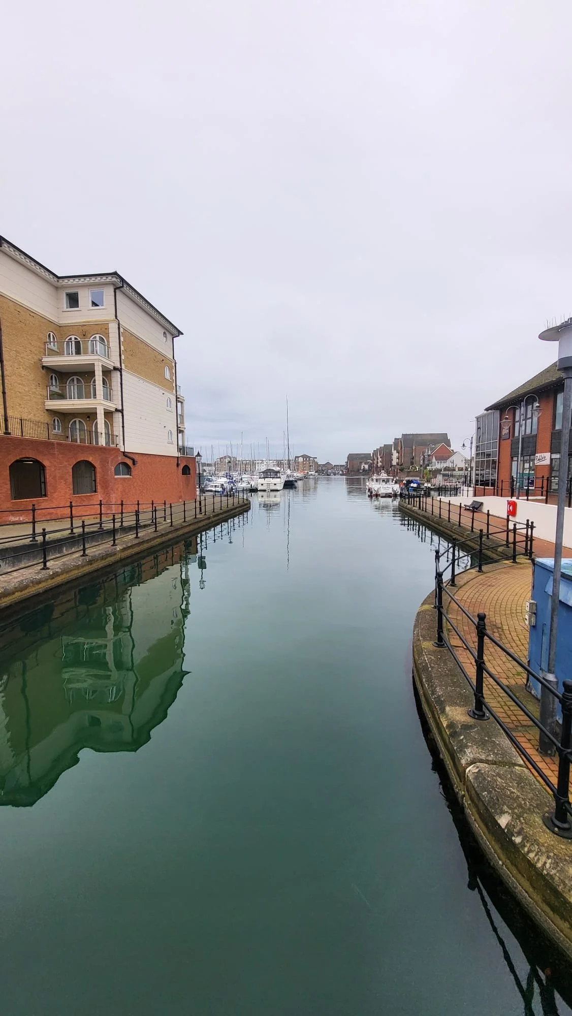 WhatsApp Image 2024-10-15 at 12.50.18.jpeg